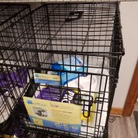 Pauley's Pups ico
