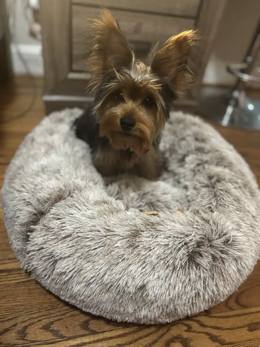 Pauley's Pups Picture 4