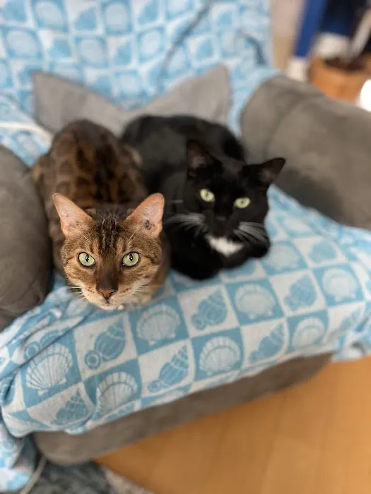 Coastal Veterinary Picture 5