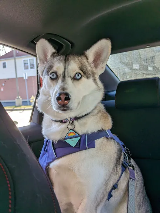 Coastal Veterinary Picture 8