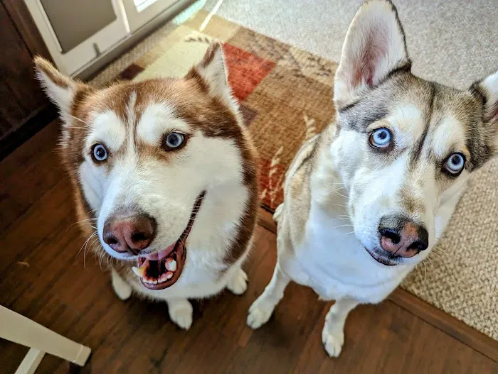 Coastal Veterinary Picture 7