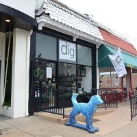 Dig your neighborhood pet shop ico