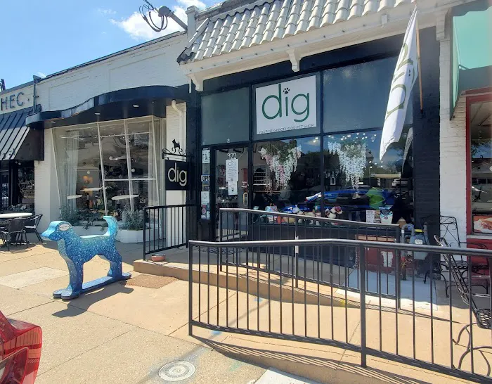 Dig your neighborhood pet shop Picture 5