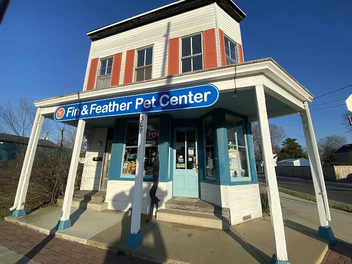 Fin & Feather of Ashland Picture 2