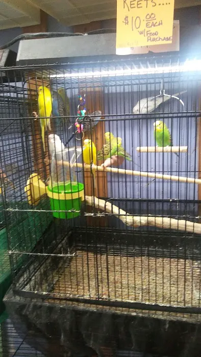 Fin & Feather of Ashland Picture 9