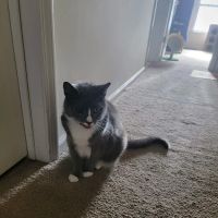 Bayville Veterinary Hospital ico