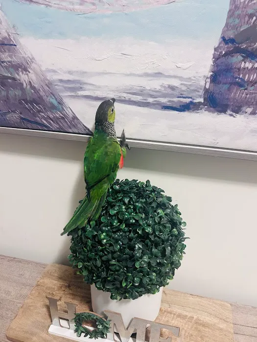 Petco Picture 3