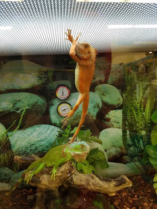 Petco Picture 4
