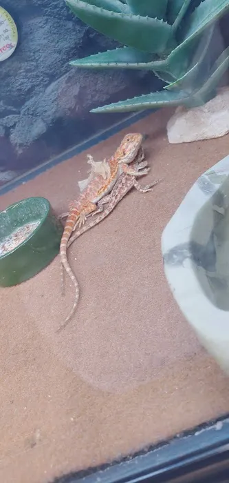 Petco Picture 9