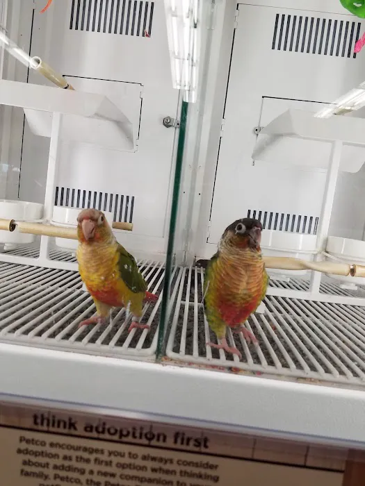 Petco Picture 10