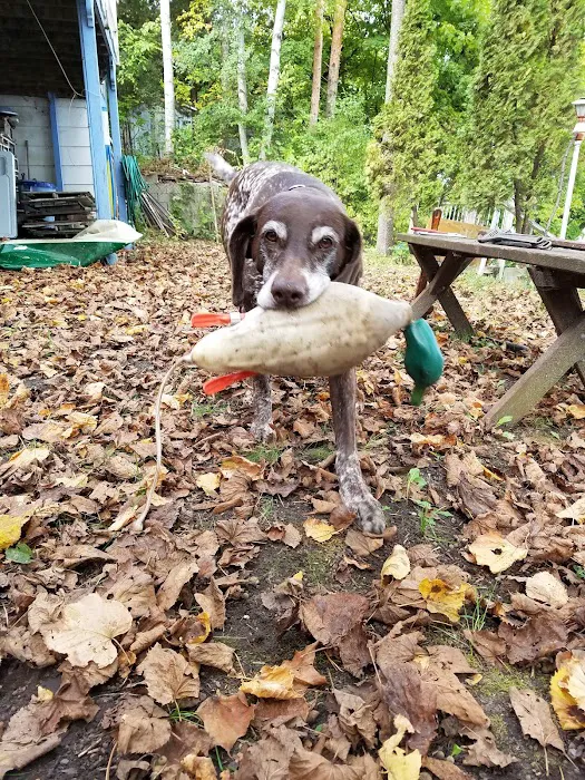 Popcorn Park Animal Clinic Picture 4