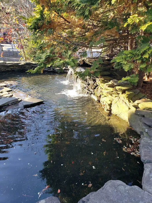 Popcorn Park Animal Clinic Picture 3