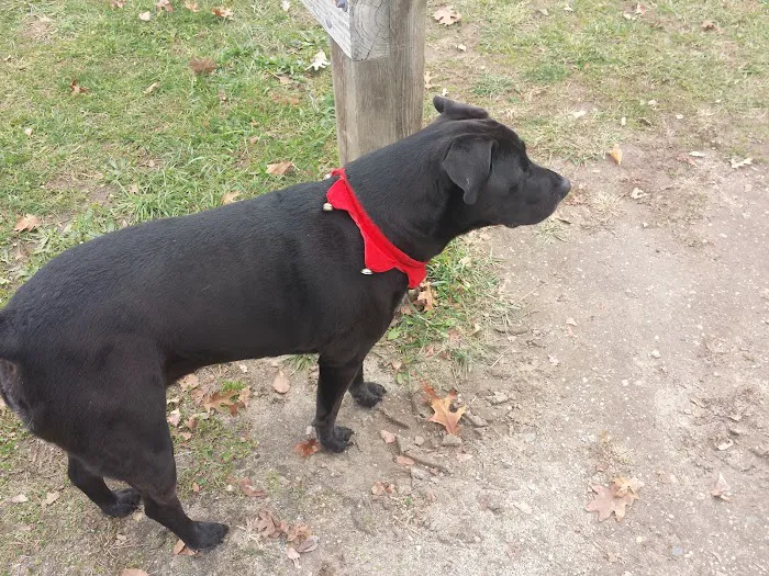 Popcorn Park Animal Clinic Picture 5