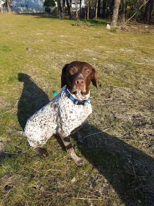 Popcorn Park Animal Clinic Picture 2