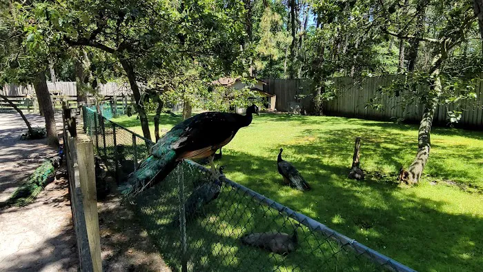 Popcorn Park Animal Clinic Picture 6