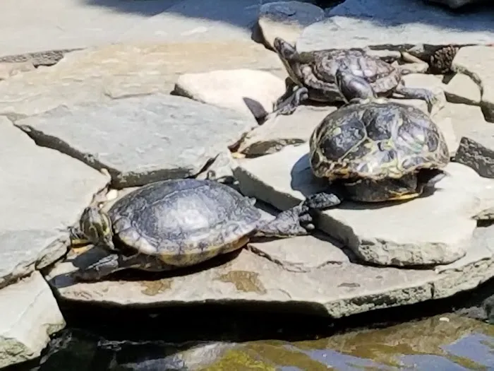 Popcorn Park Animal Clinic Picture 7