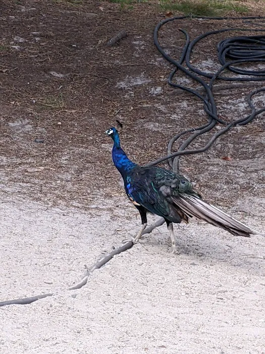 Popcorn Park Animal Clinic Picture 8