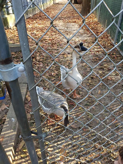 Popcorn Park Animal Clinic Picture 9