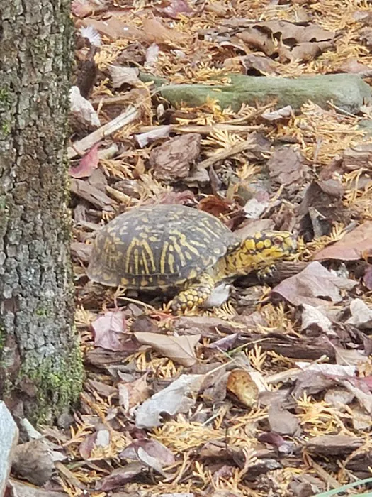 Popcorn Park Animal Clinic Picture 10