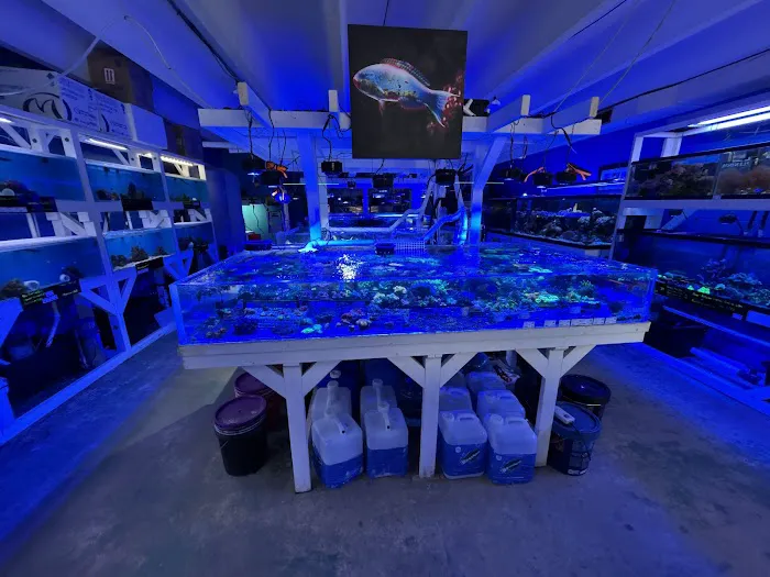Aquarium Pros VA Picture 2
