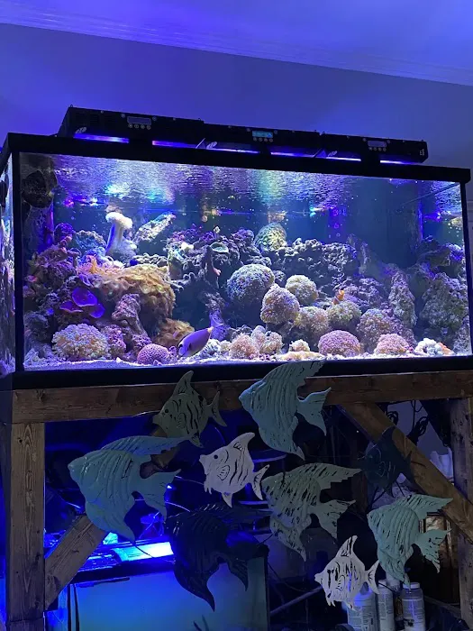 Aquarium Pros VA Picture 3