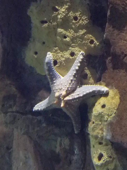 Aquarium Pros VA Picture 7