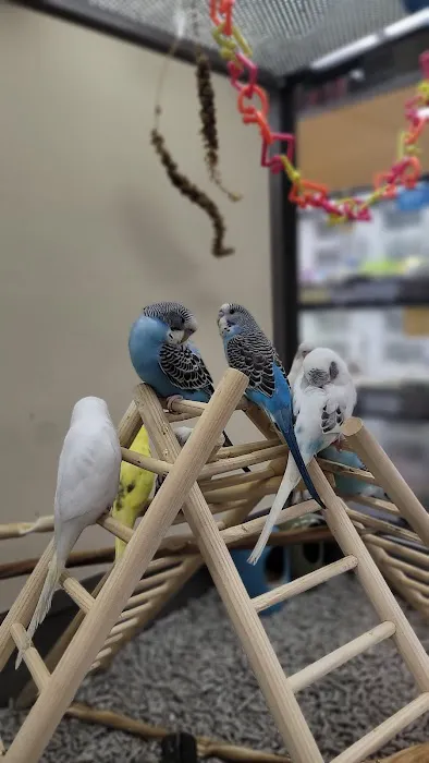 Petco Picture 1