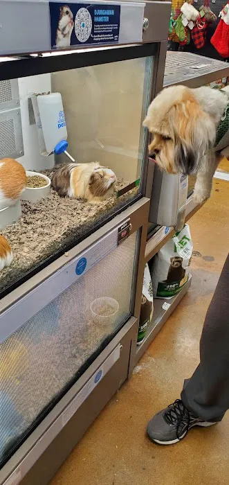Petco Picture 6