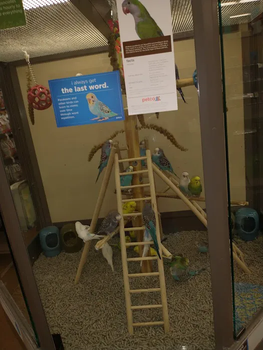 Petco Picture 5