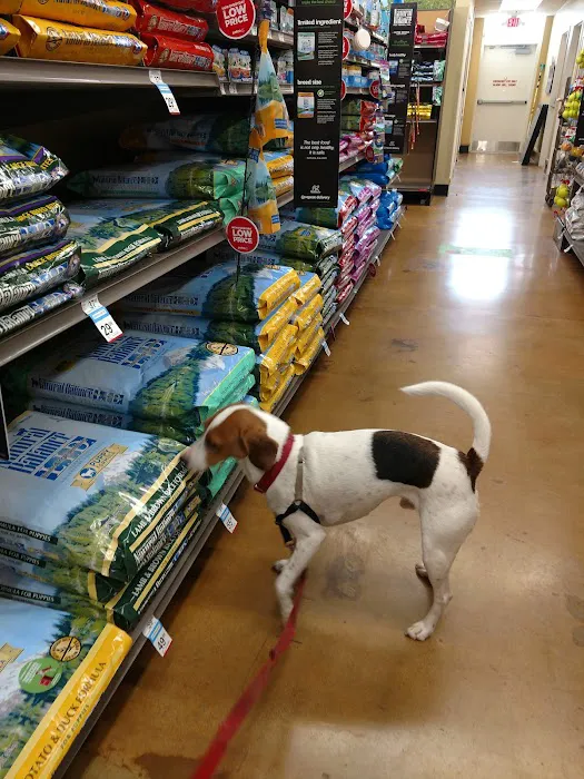 Petco Picture 7