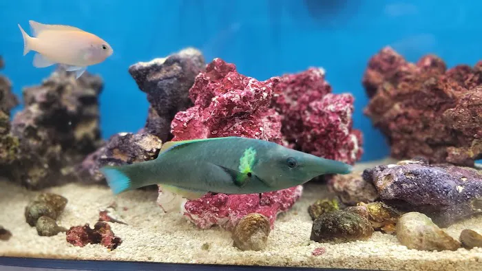 Petco Picture 9