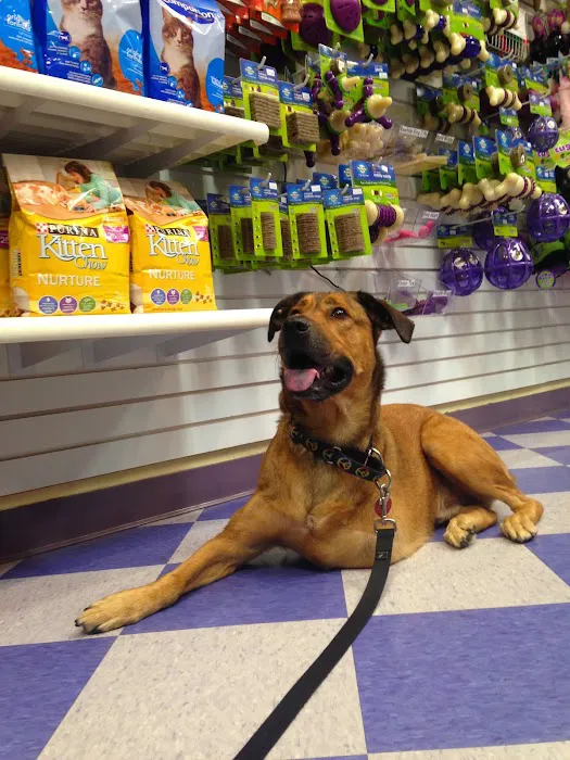 Richmond SPCA Gift Shop Picture 5