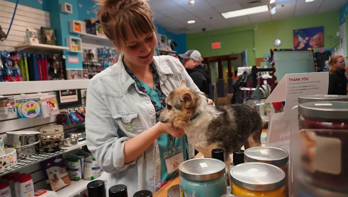 Richmond SPCA Gift Shop Picture 2