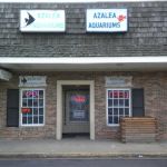 Azalea Aquariums