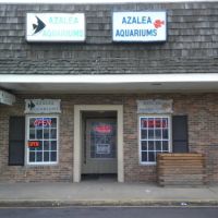 Azalea Aquariums ico