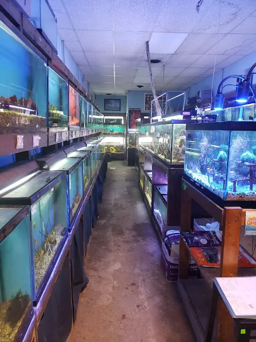 Azalea Aquariums Picture 2