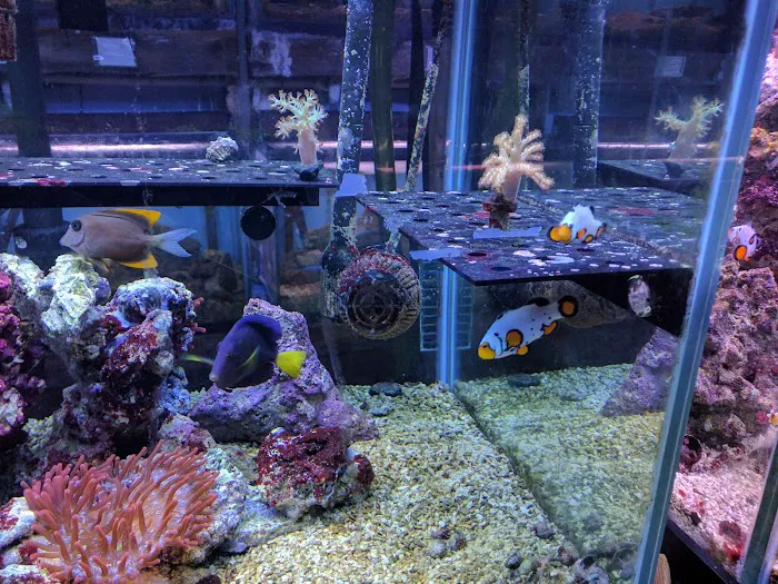 Azalea Aquariums Picture 4