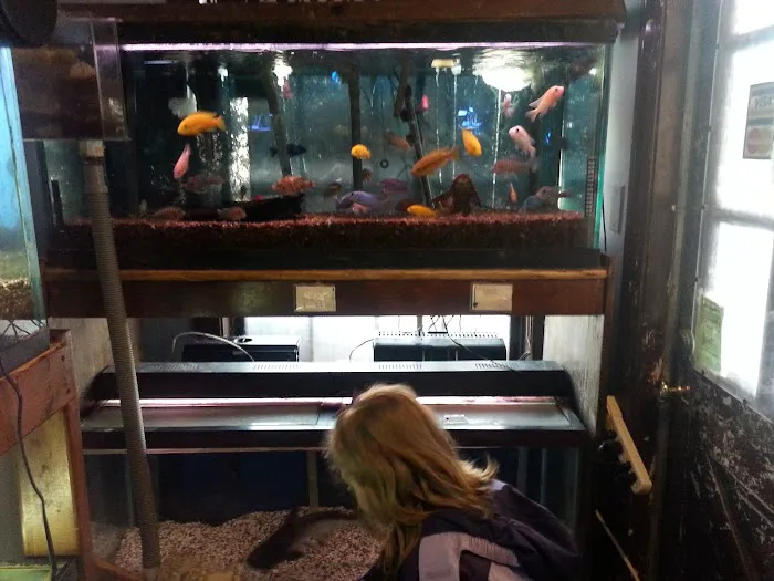 Azalea Aquariums Picture 5