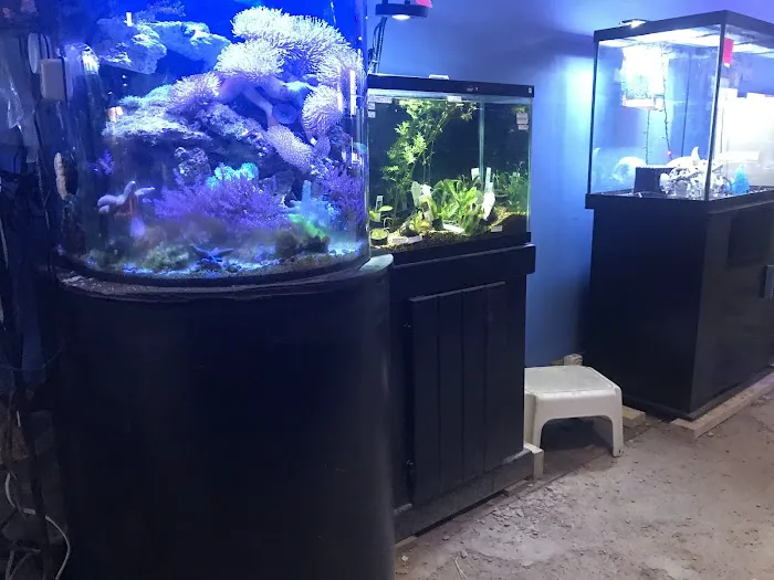 Azalea Aquariums Picture 10