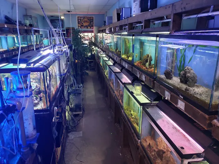 Azalea Aquariums Picture 9