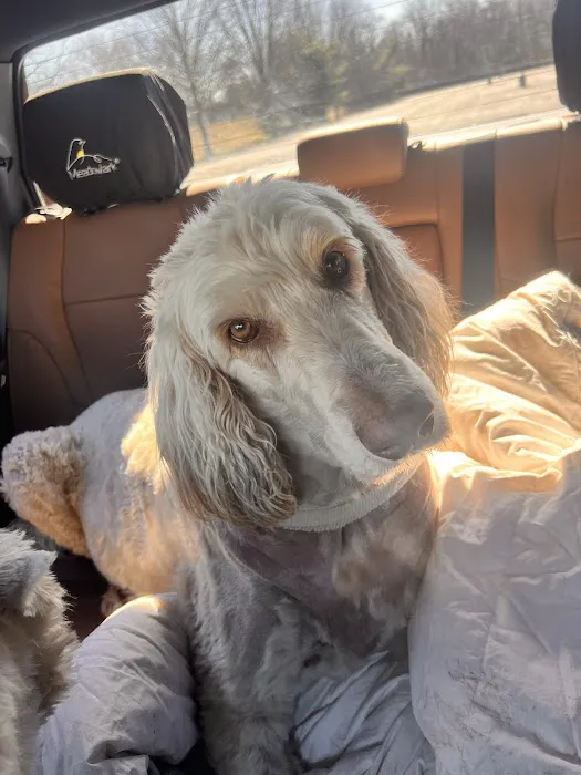 BluePearl Pet Hospital Picture 6