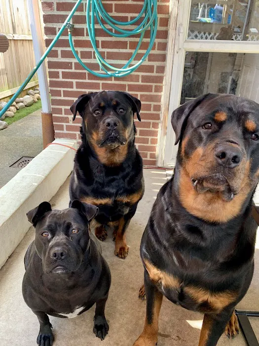 BluePearl Pet Hospital Picture 7