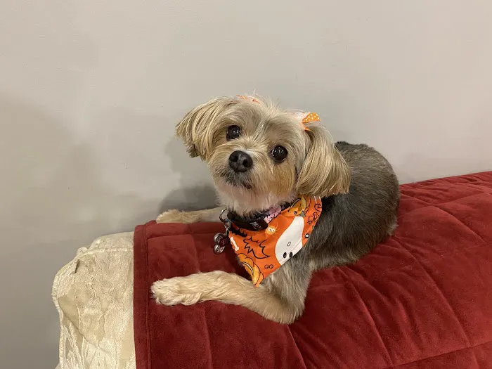 Bridgewater Veterinary Hospital (Bensalem) Picture 1