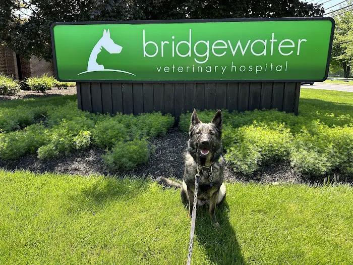 Bridgewater Veterinary Hospital (Bensalem) Picture 3