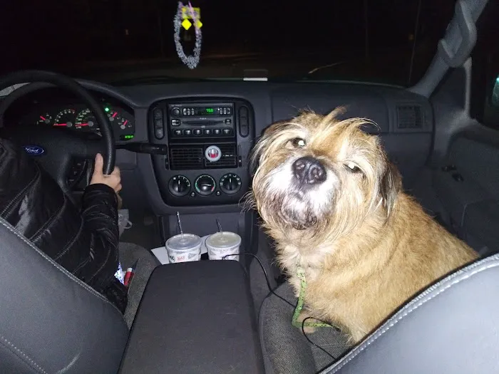 Bridgewater Veterinary Hospital (Bensalem) Picture 4