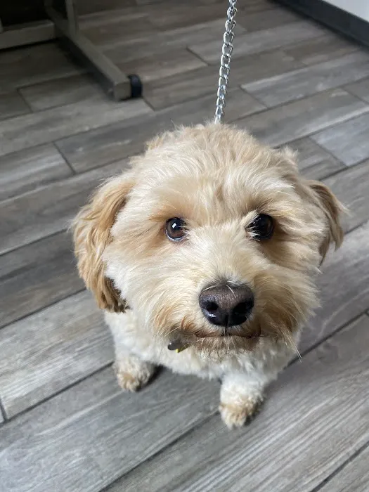 Bridgewater Veterinary Hospital (Bensalem) Picture 8