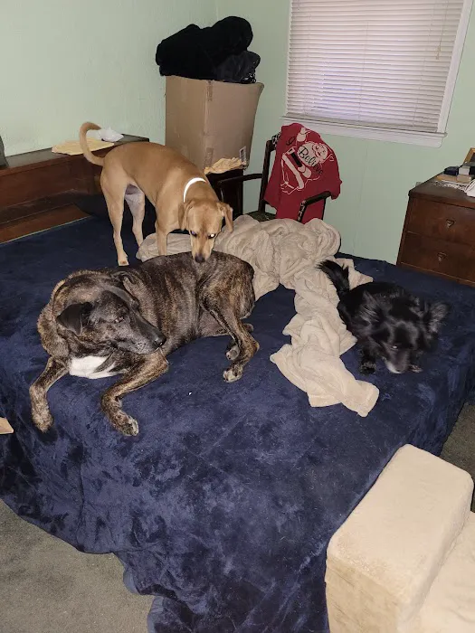 Bridgewater Veterinary Hospital (Bensalem) Picture 10