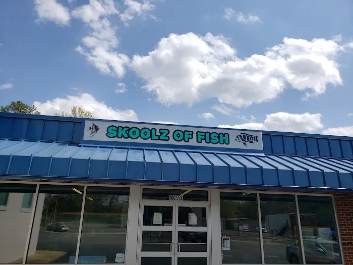 Skoolz of Fish Picture 1