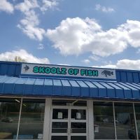 Skoolz of Fish ico