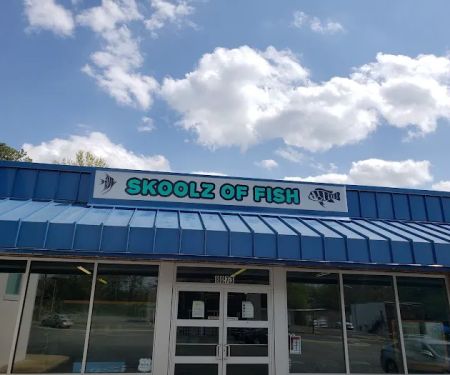 Skoolz of Fish